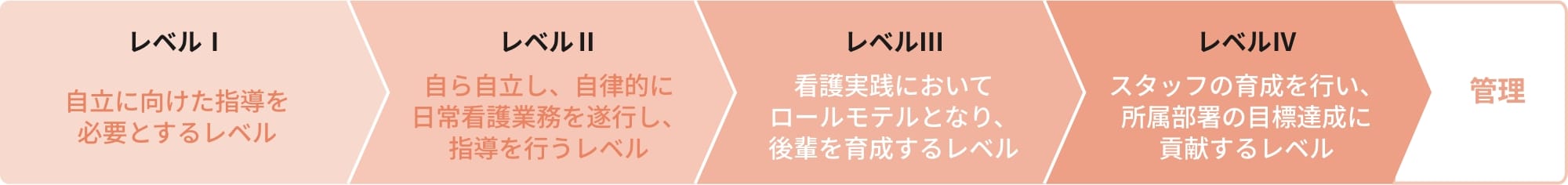 教育体制レベル別のフロー